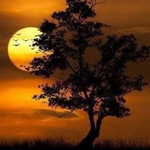 Meet your Posher, Rick